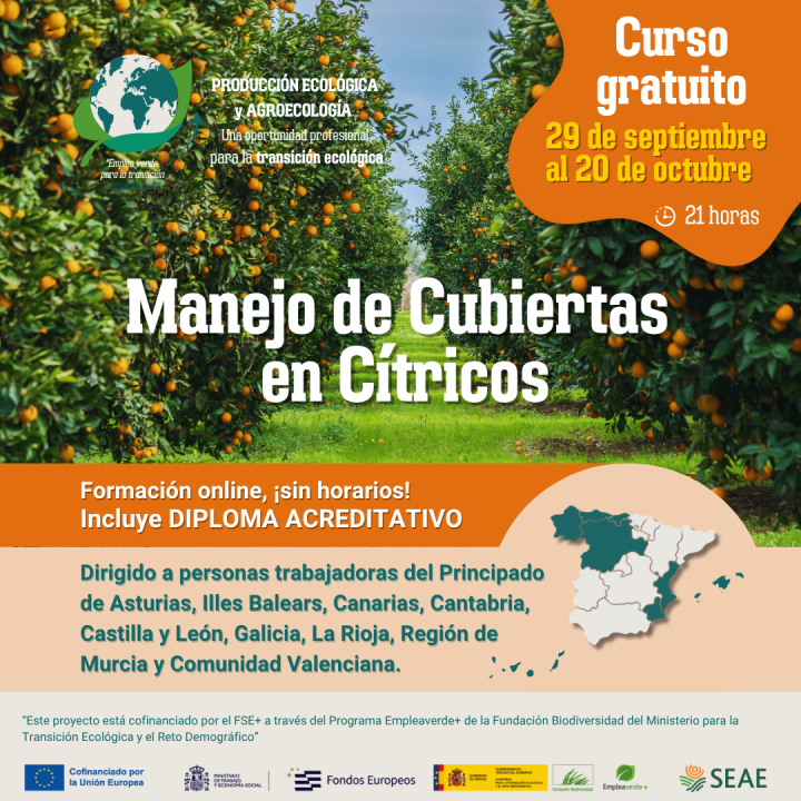 Curso online 